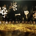 峥嵘一甲子