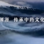 云游有方 助您无恙